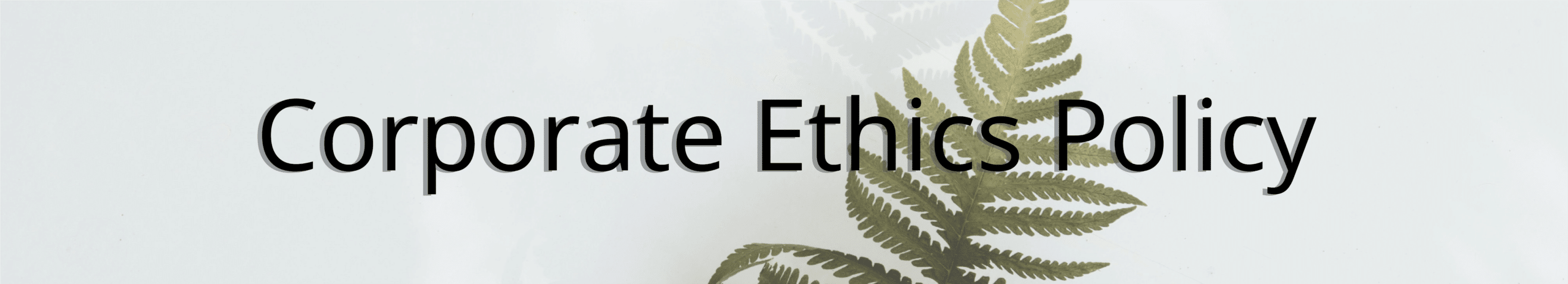 Corporate Ethics Header - An image of a fern against a blank wall with the words corporate ethics policy overlaid on top.