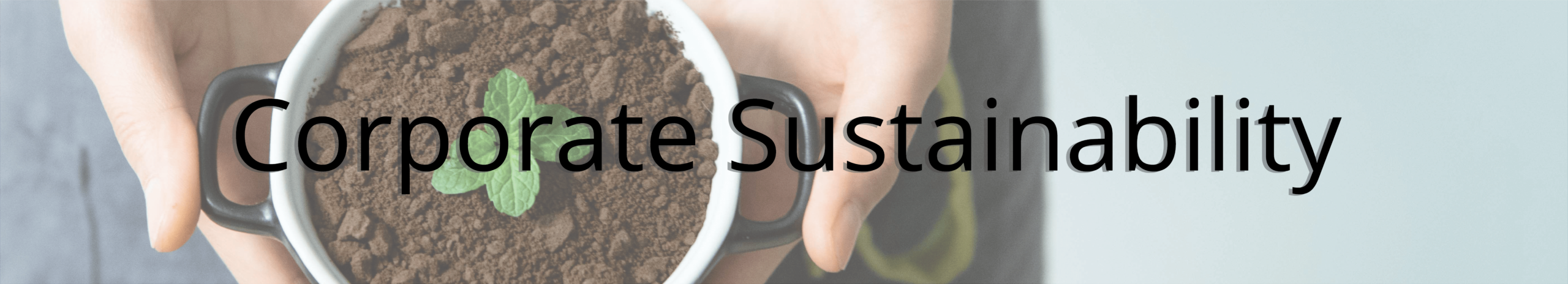 Corporate Sustainability Header - A person holding a plant with the words corporate sustainability overlaid on top.